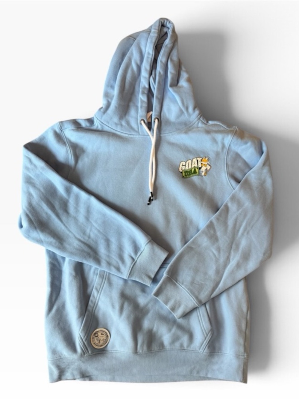 GOAT light blue men’s hoodie size medium “cash money” motif on back